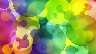 multicolored polka-dotted background HD wallpaper